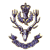 Queen's Own Highlanders&nbsp;(Seaforth and Camerons)